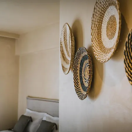 Viento Luxury Apartment Plomari