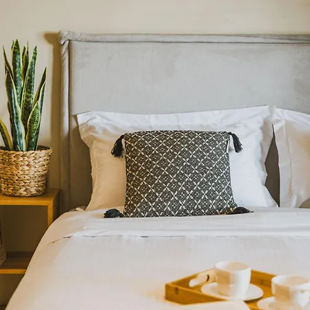 Viento Luxury Apartment Plomari