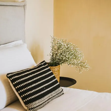 Viento Luxury Plomari